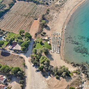 Artemis Suites